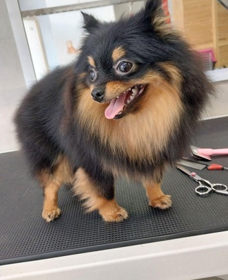 ce26d400-740c-4b3d-a93c-d3b0562a54d4-photo_2025-11-09_12-12-24 (2).jpg